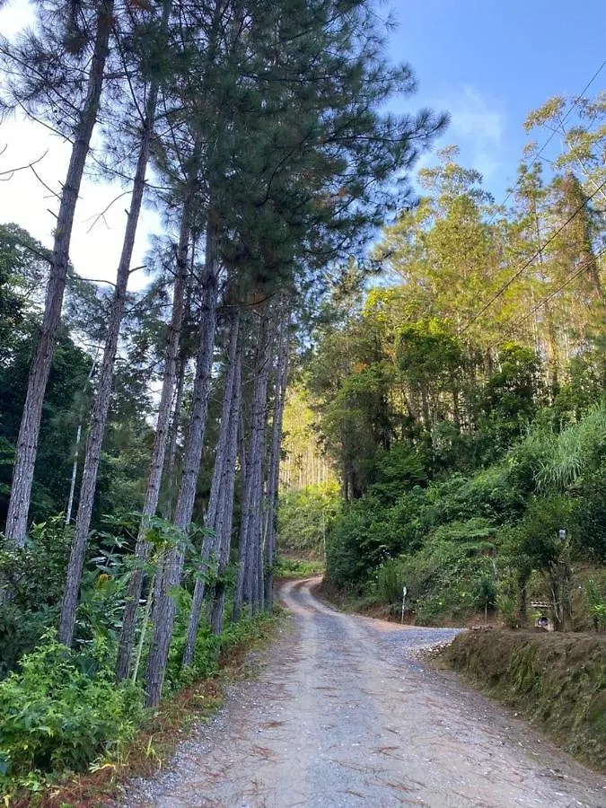 Sitio Do Marinho Em Nova Trento Daire Brezilya